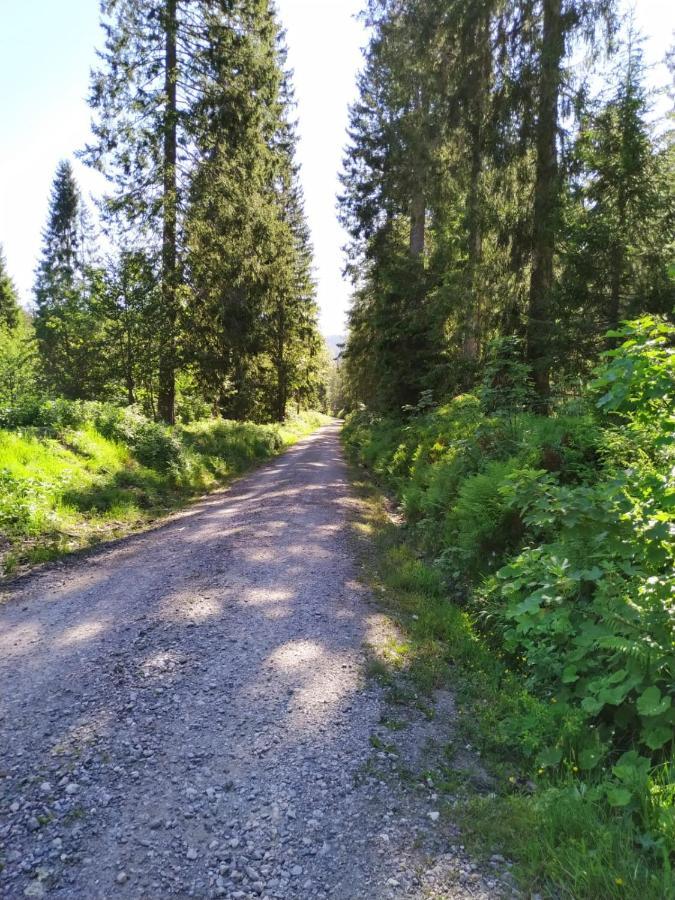 Ferienwohnung Feldberg - Residenz Grafenmatt ภายนอก รูปภาพ