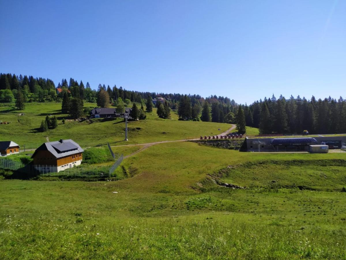 Ferienwohnung Feldberg - Residenz Grafenmatt ภายนอก รูปภาพ
