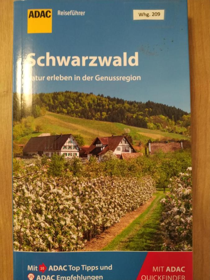 Ferienwohnung Feldberg - Residenz Grafenmatt ภายนอก รูปภาพ
