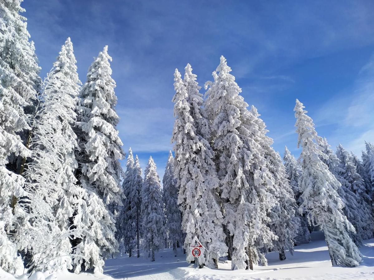 Ferienwohnung Feldberg - Residenz Grafenmatt ภายนอก รูปภาพ