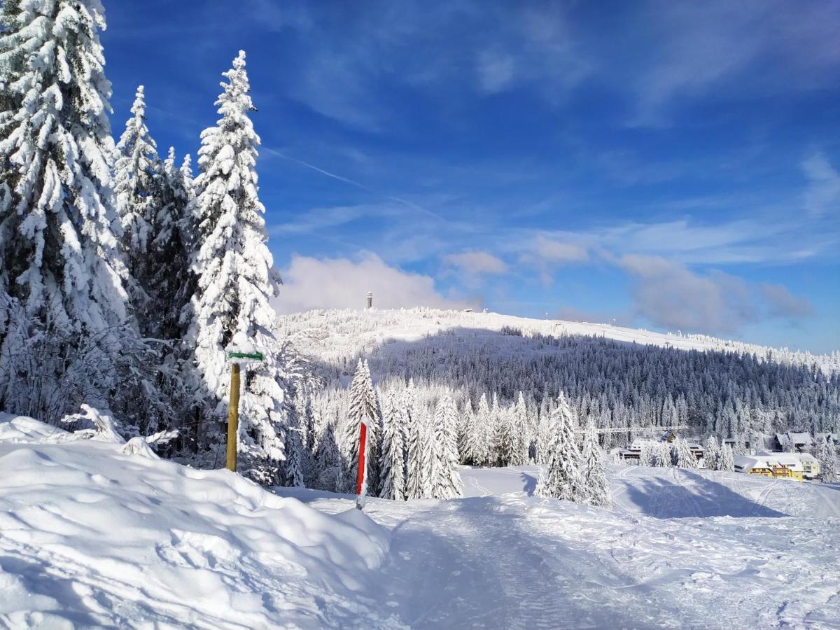 Ferienwohnung Feldberg - Residenz Grafenmatt ภายนอก รูปภาพ
