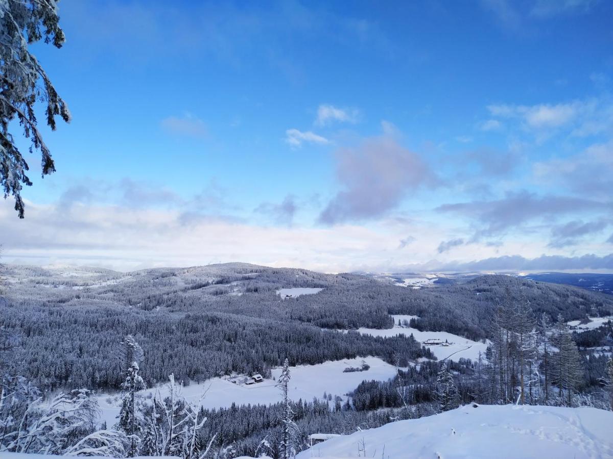 Ferienwohnung Feldberg - Residenz Grafenmatt ภายนอก รูปภาพ