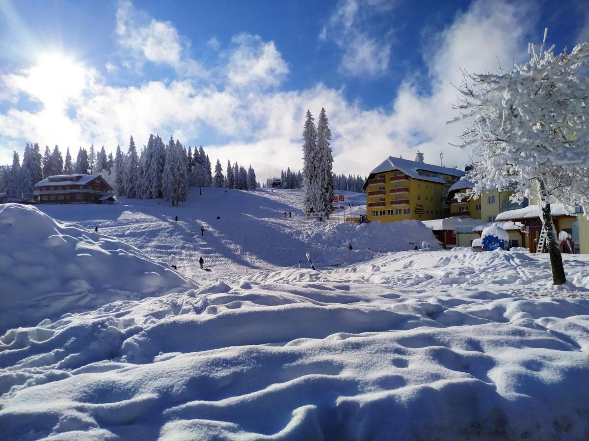Ferienwohnung Feldberg - Residenz Grafenmatt ภายนอก รูปภาพ